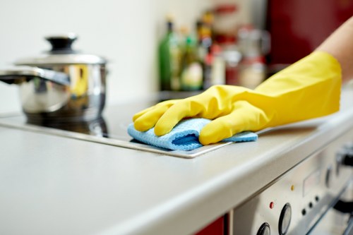 Specialist curtain cleaning process for delicate and lined fabrics